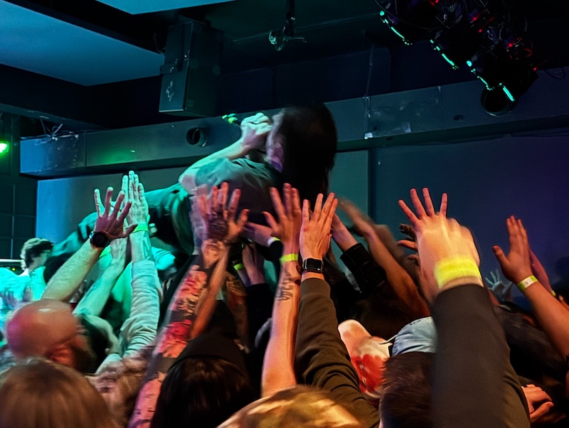 Welcome to Delightfully Aggressive